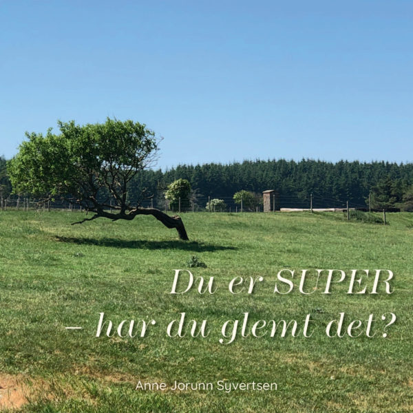 Du er SUPER – har du glemt det?