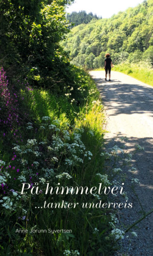 På himmelvei …tanker underveis