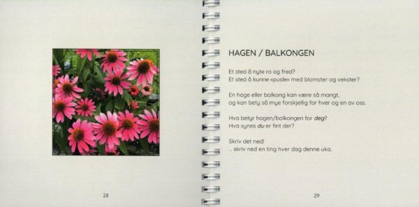 Noe fint hver dag?! - Bilde 4